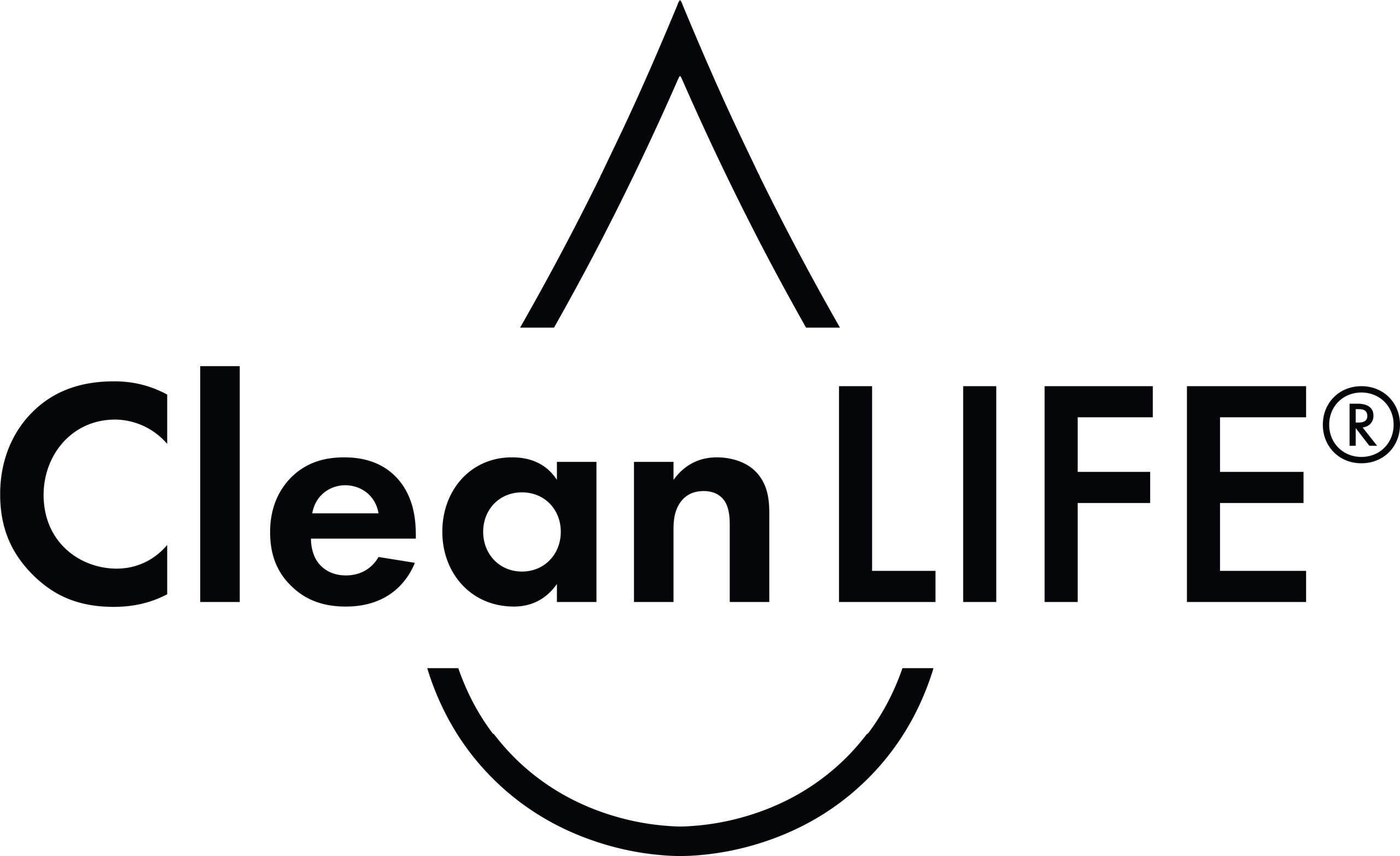 CleanLIFE logo_black
